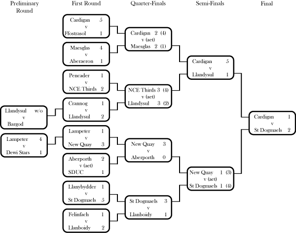 League Cup 2008-09